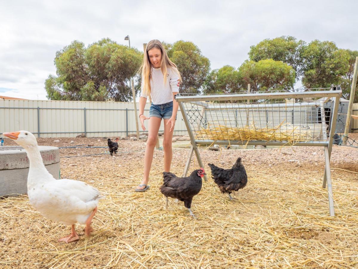Wallaroo Holiday Park ภายนอก รูปภาพ